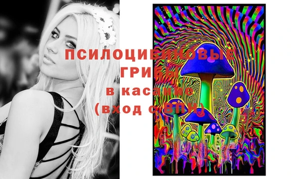 дмт Елабуга