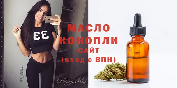 дмт Елабуга