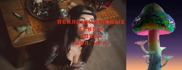 молекула духа Елизово