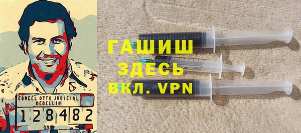 молекула духа Елизово