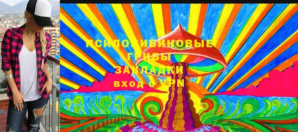 молекула духа Елизово