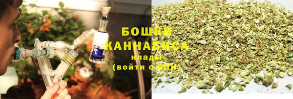 молекула духа Елизово