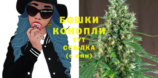 молекула духа Елизово