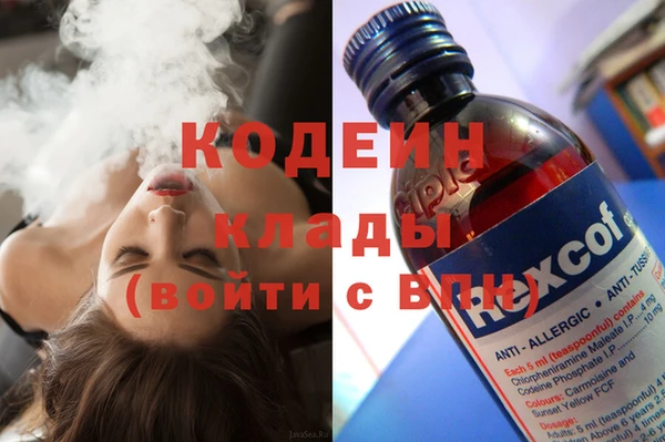 дмт Елабуга