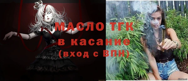 молекула духа Елизово
