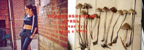 мяу мяу кристалл Ельня