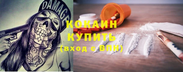 молекула духа Елизово