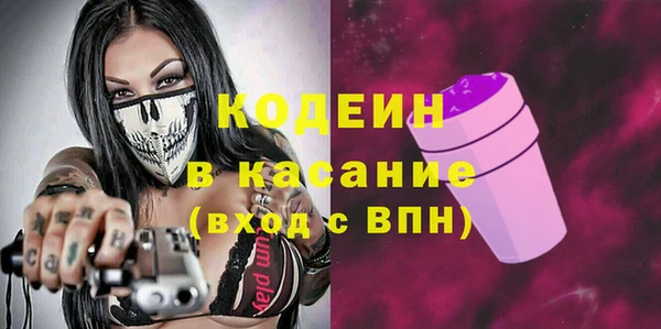 дмт Елабуга