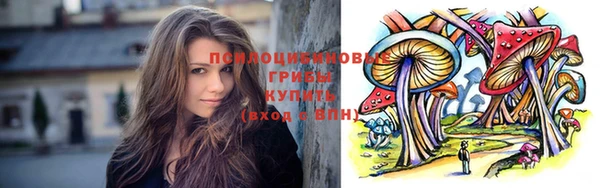 мяу мяу кристалл Ельня