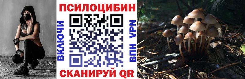 Галлюциногенные грибы MAGIC MUSHROOMS  Купить закладки  Козловка 