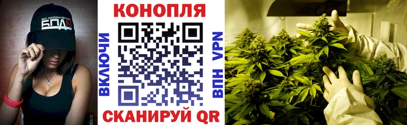 МАРИХУАНА сатива Купить закладки Козловка